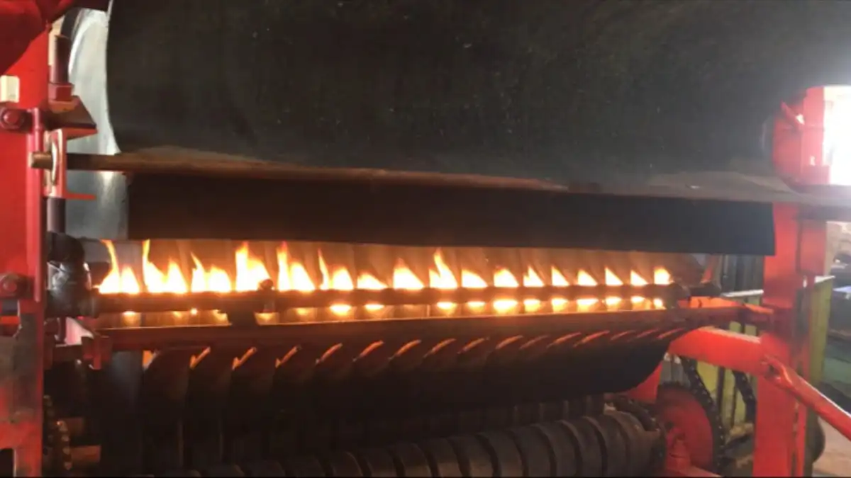 Фото:potatoes.news