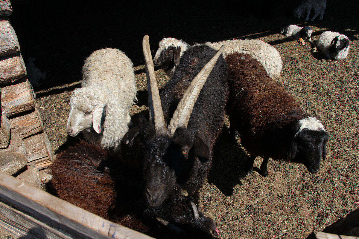 То самое хозяйство