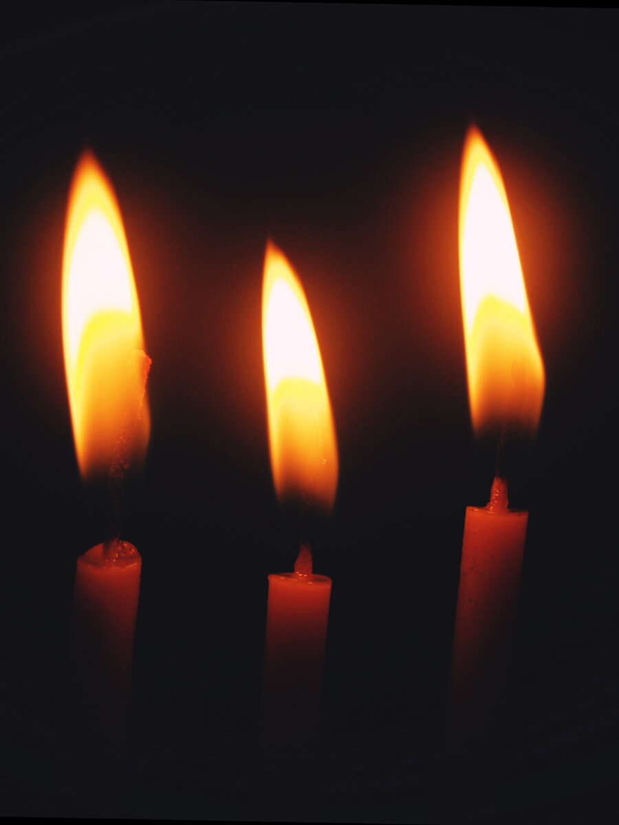 Фото из открытых источников