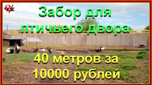 Забор для птичьего двора. 40 метров за 10000 рублей