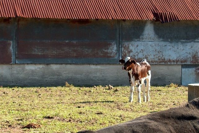 Фото: freeimages.com 