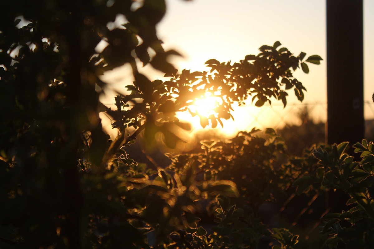   ГТРК "Ставрополье"