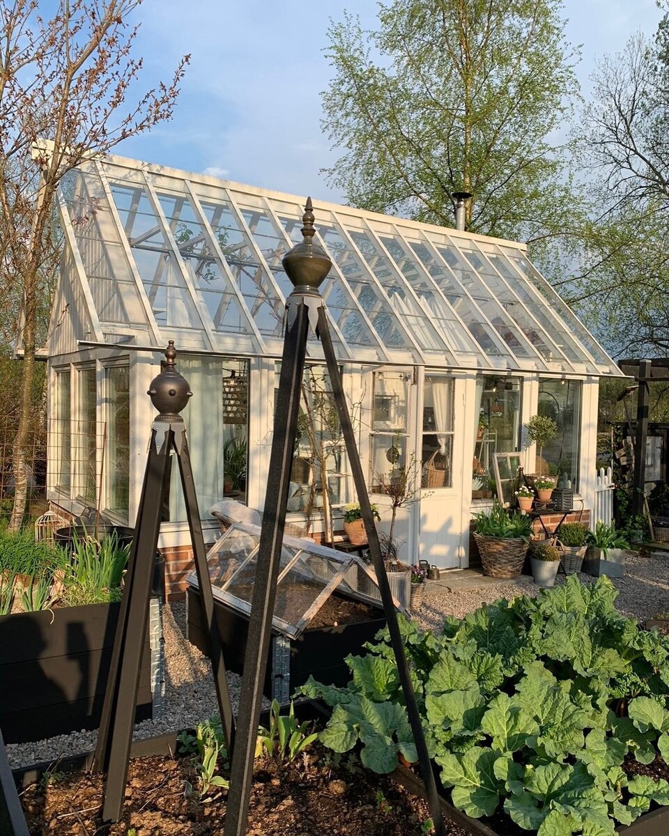 Соцсети блогера Паулины Доул