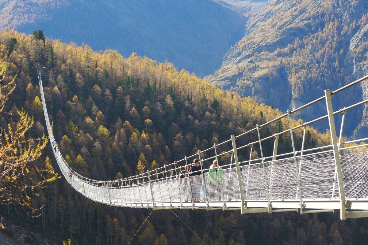 © Theo lauber / CC BY-SA 4.0 (Пешеходный мост имени Чарльза Куонена в Швейцарии)