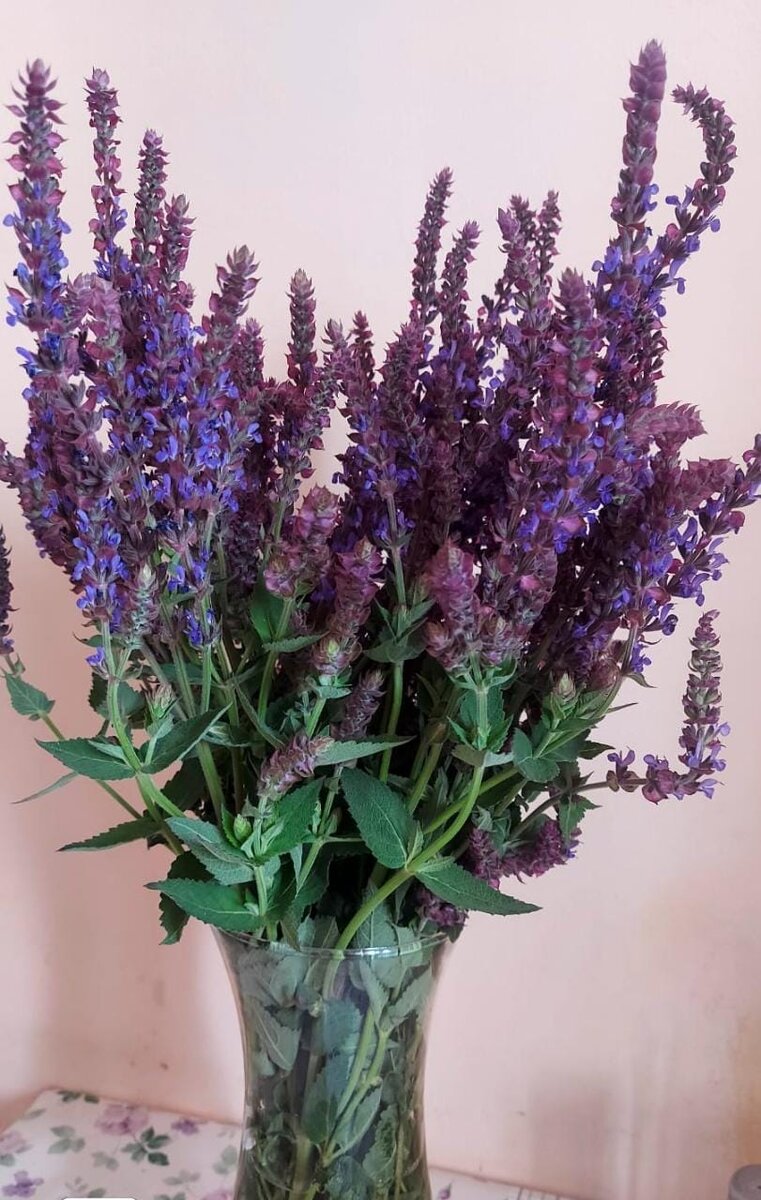 Спустя полтора часа. Цветы напились.