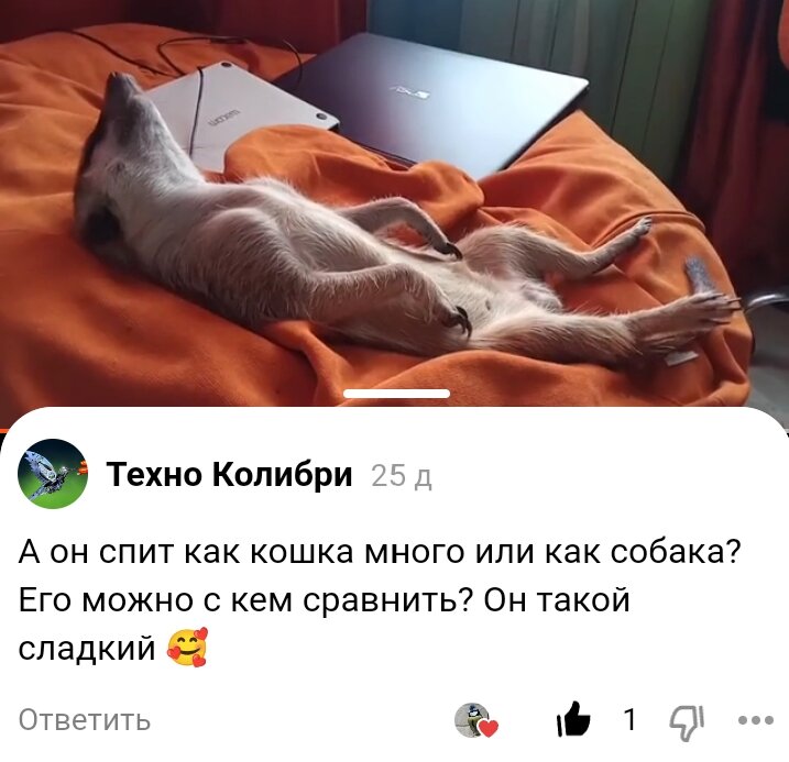 Скрин комментария Техно Колибри