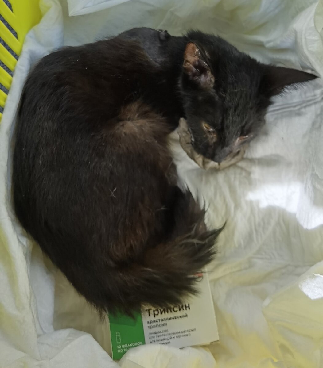 Едем в клинику