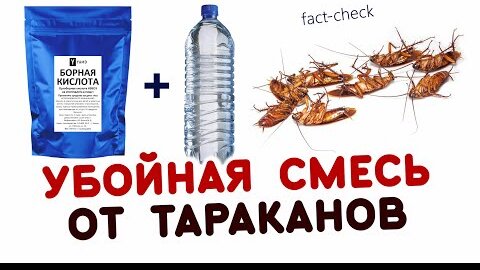 Смертельное питье для тараканов с БОРНОЙ КИСЛОТОЙ