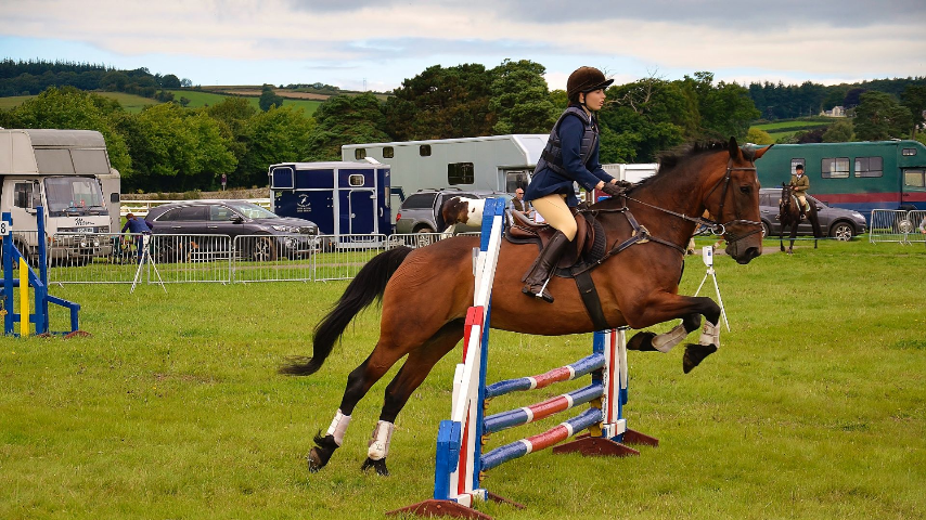 Riding competition. Вестерн лошади соревнования. Гуцульская лошадь. Riding competition. Riding competition.