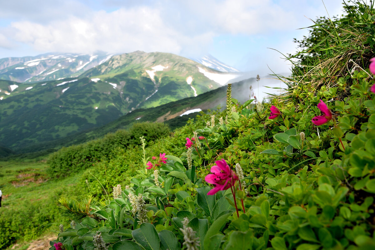 Камчатка