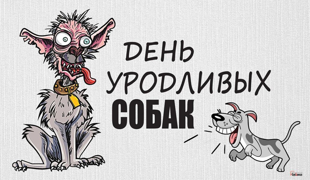 День уродливых собак  - 20 июня. Фото: