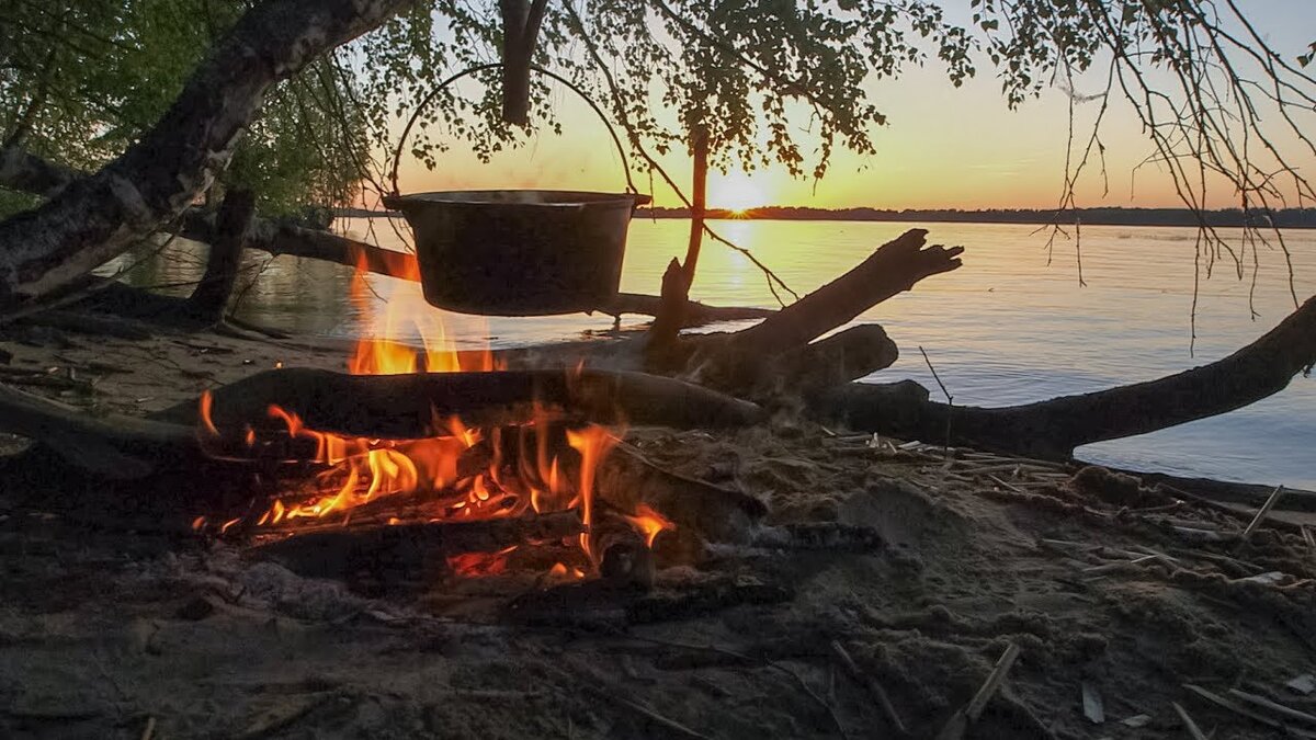 Рыбалка в лесу