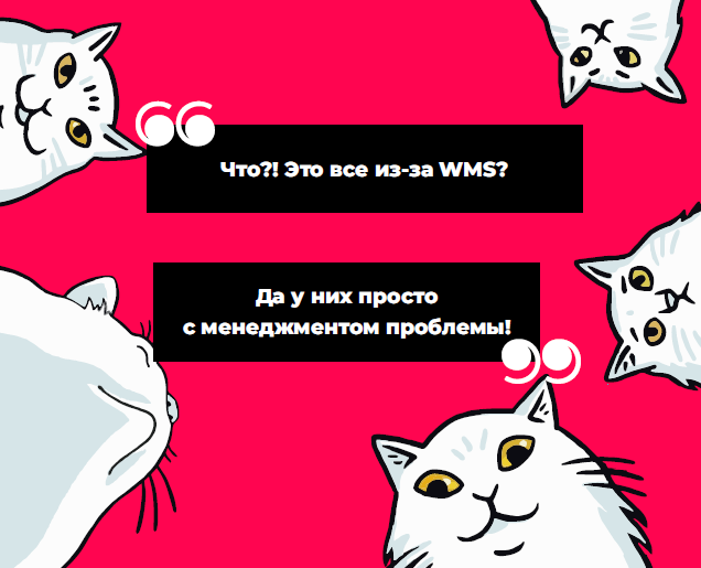 Из нашей небольшой заметки вы узнаете о моментах, которые нужно обязательно учесть при внедрении WMS,
чтобы не обнаружить себя в похожей ситуации.