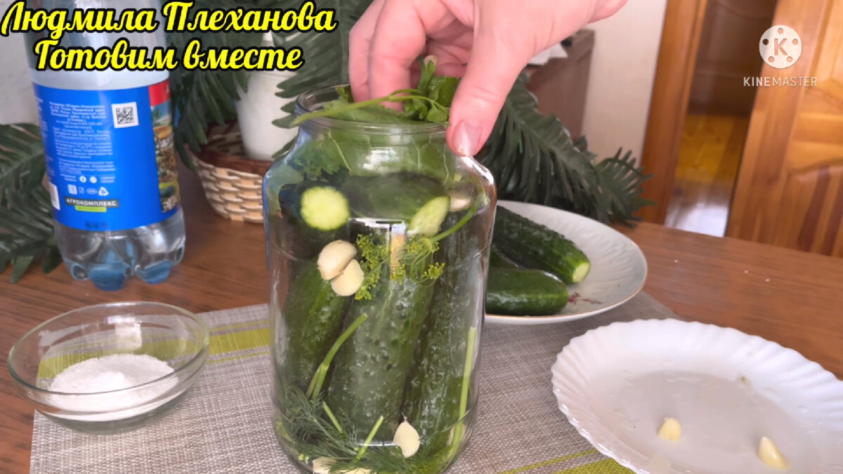 Казалось бы, в этом рецепте нет ничего необычного, но какие же вкусные,  хрустящие получаются малосольные огурцы | Людмила Плеханова Готовим вместе.  Еда | Дзен