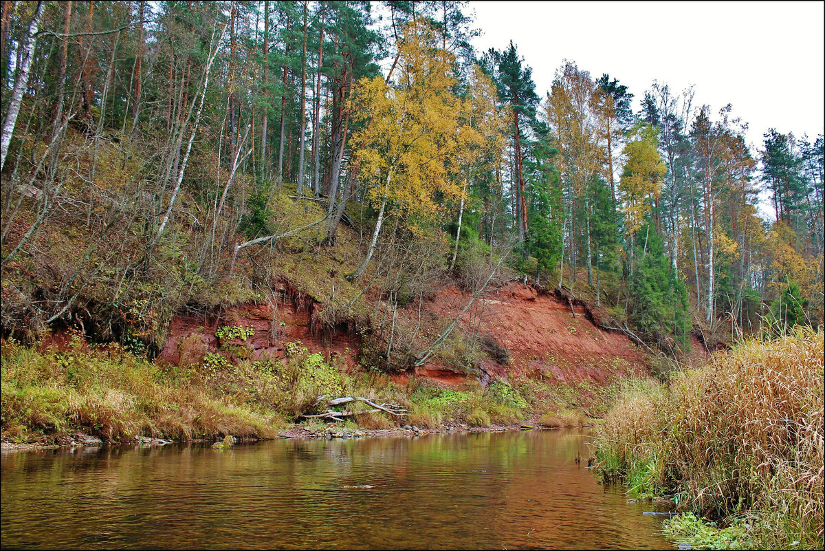 Крутой берег фото