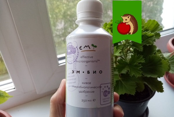 Многие садоводы неправильно используют Байкал-ЭМ, то он у них и 