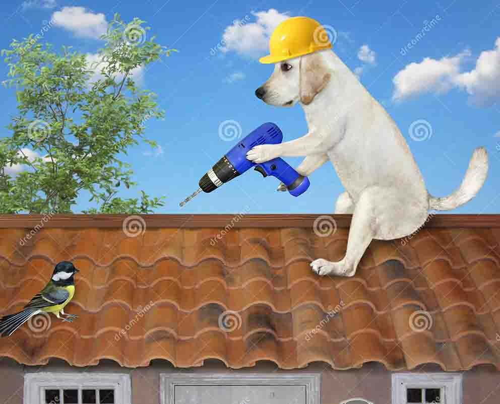(Фото из "Google")