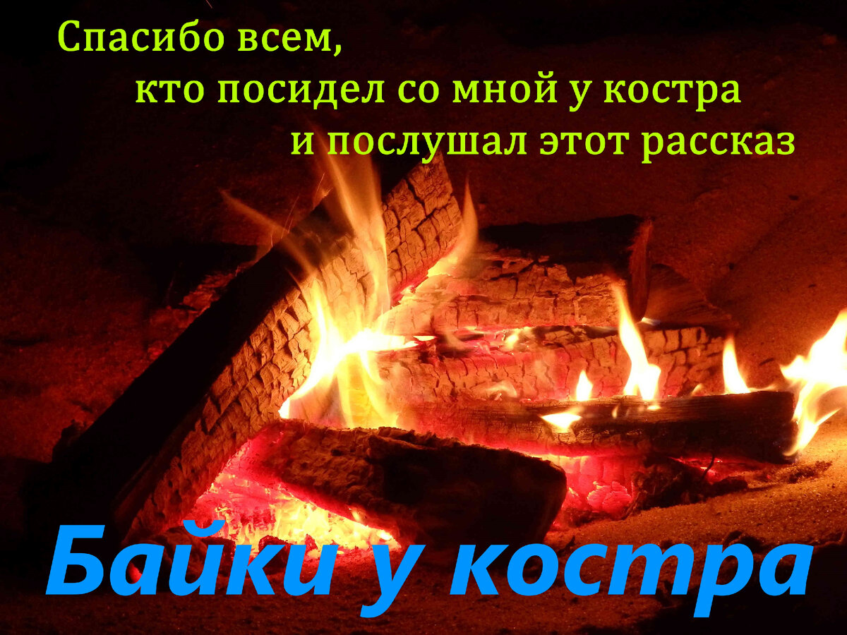 Байки у костра». Детские воспоминания: дом ведьмы и неожиданная встреча в  погребе | Лесные истории | Дзен