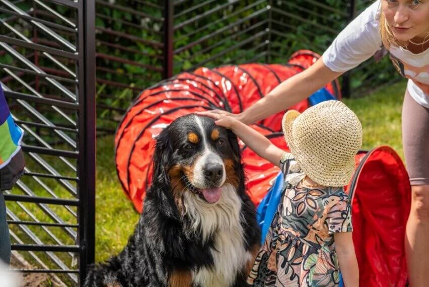 Фото: пресс-служба фестивалей "Московские сезоны"