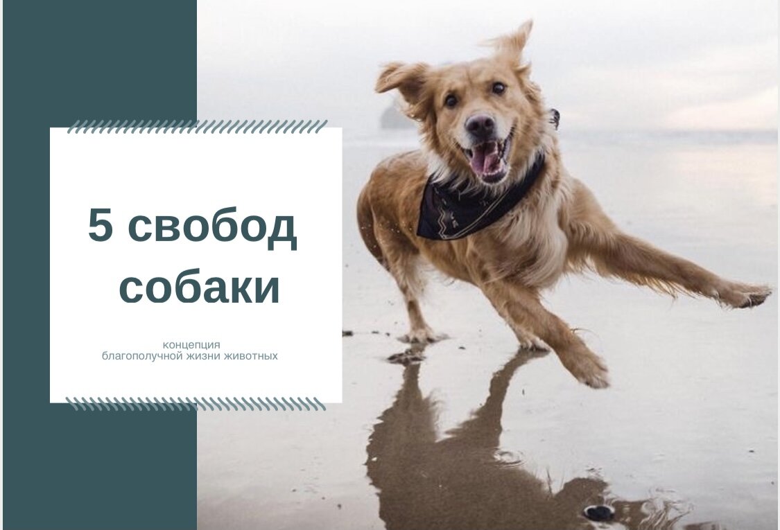 фото для создания обложки взято из свободных источников в интернете