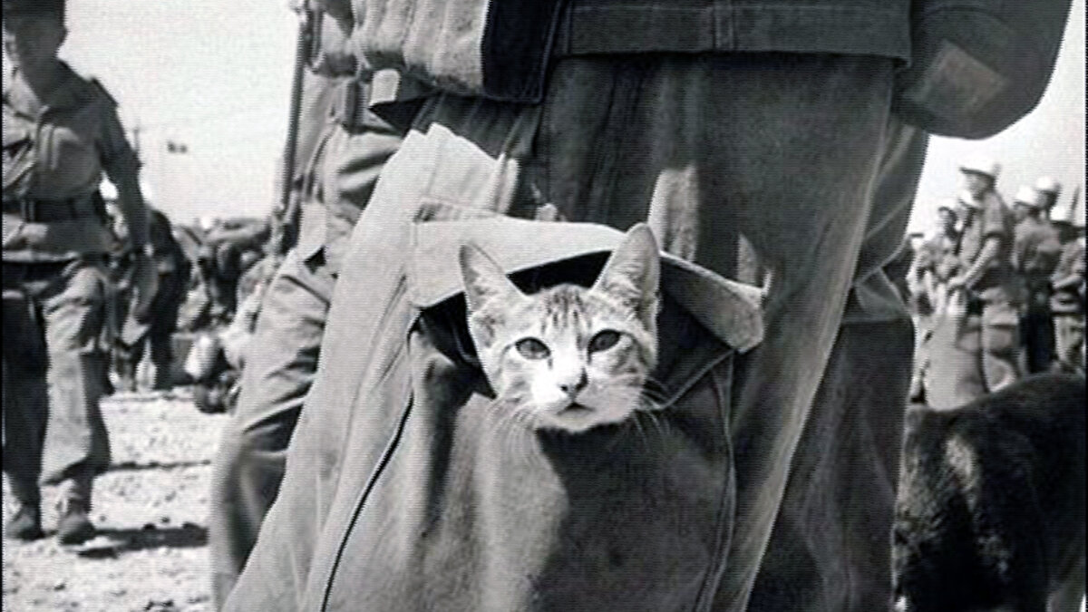 источник фото: demotions.ru