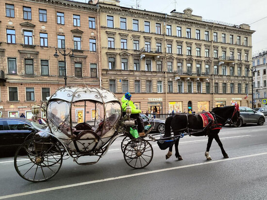     Фото: «МК в Питере»