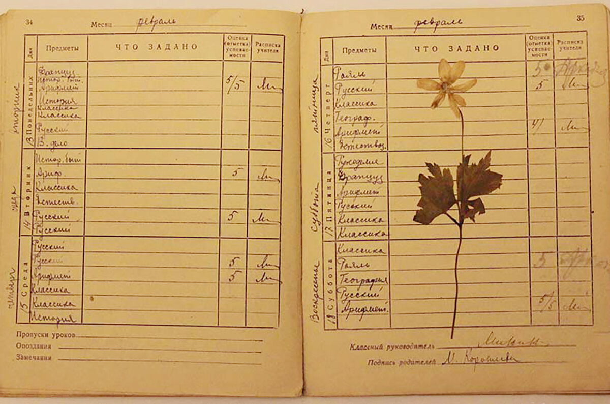 Список предметов 20 века. Советский школьный дневник. Старые дневники школьников. Старый дневник школьника. Дневник советского школьника.