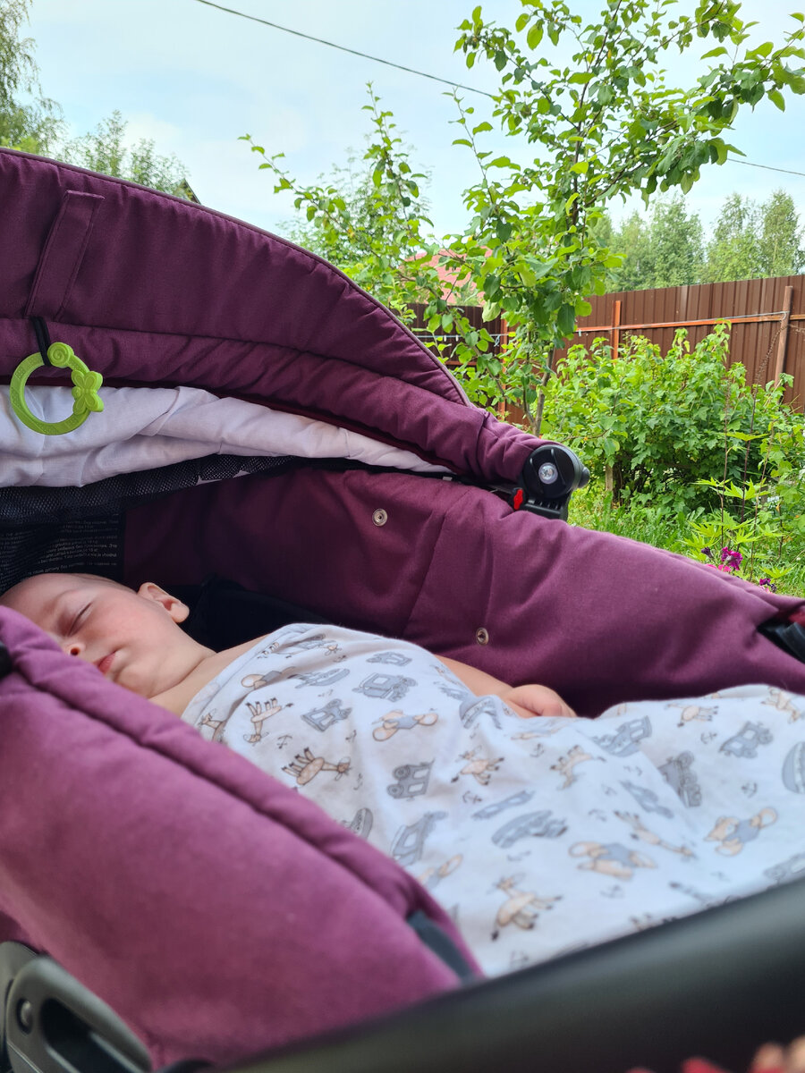 Сон по расписанию 