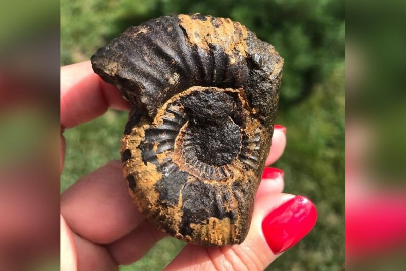 Истра | Искра / ВКонтакте