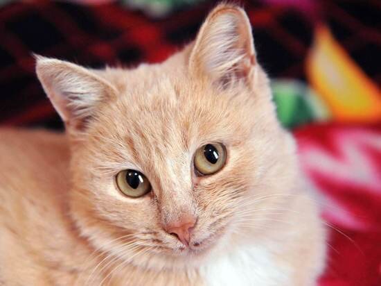 © ФОТО: ИД «ВОЛГОГРАДСКАЯ ПРАВДА» / АРХИВ.