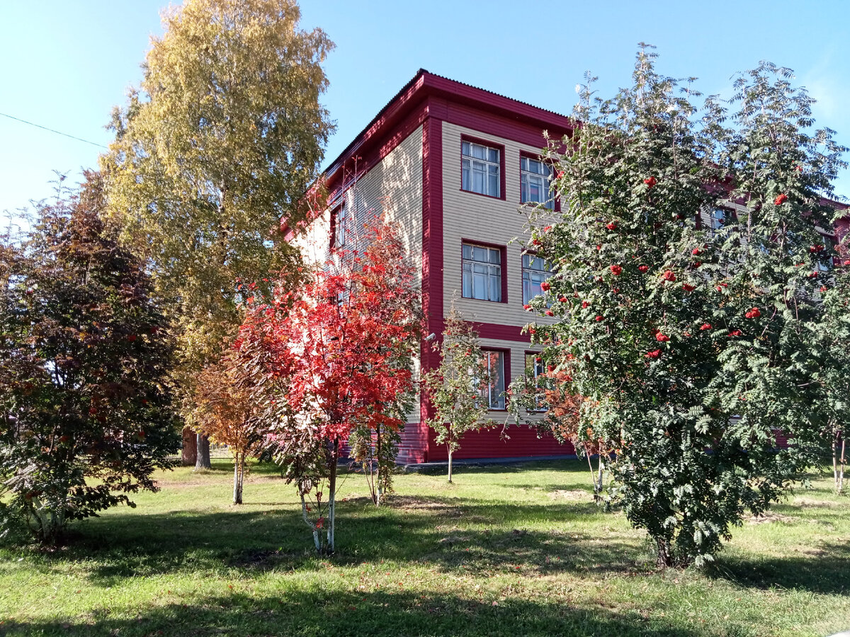 по дороге в парк