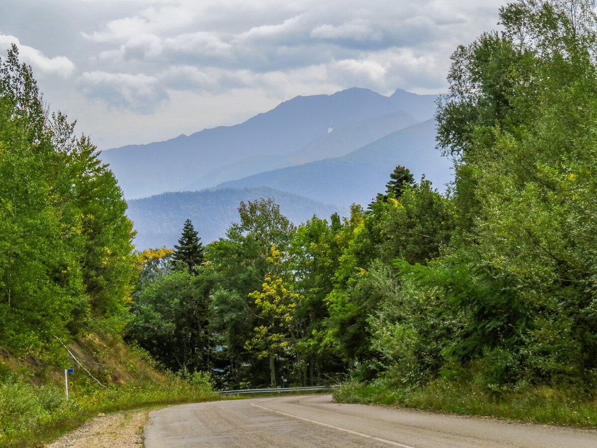 Дорога из посёлка Гузерипль на Яворову поляну.