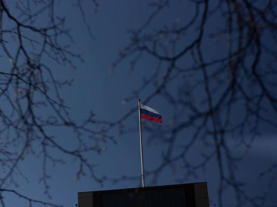     Фото: Pexels.com