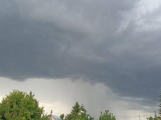     Архив "МК в Оренбурге"