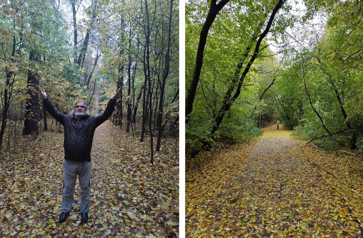 В день рождения Сергея Есенина. В Горенках