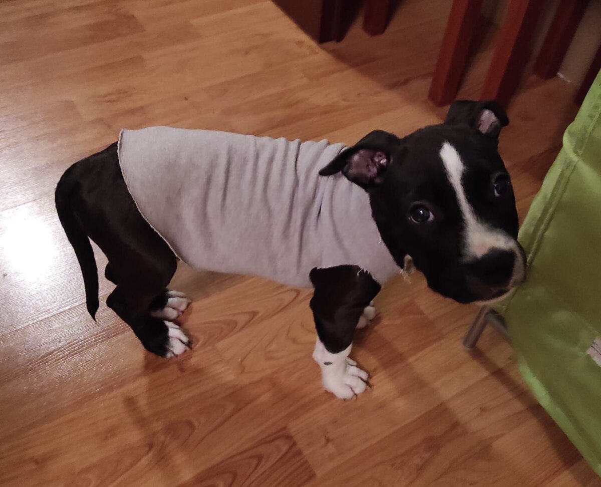 4 кг. - ещё похож на хомячка