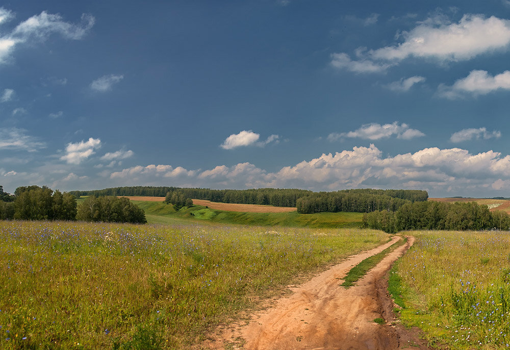 Русские проселки. Проселок Проселочная дорога. Сельская дорога. Грунтовая дорога. Грунтовая дорога в деревне.