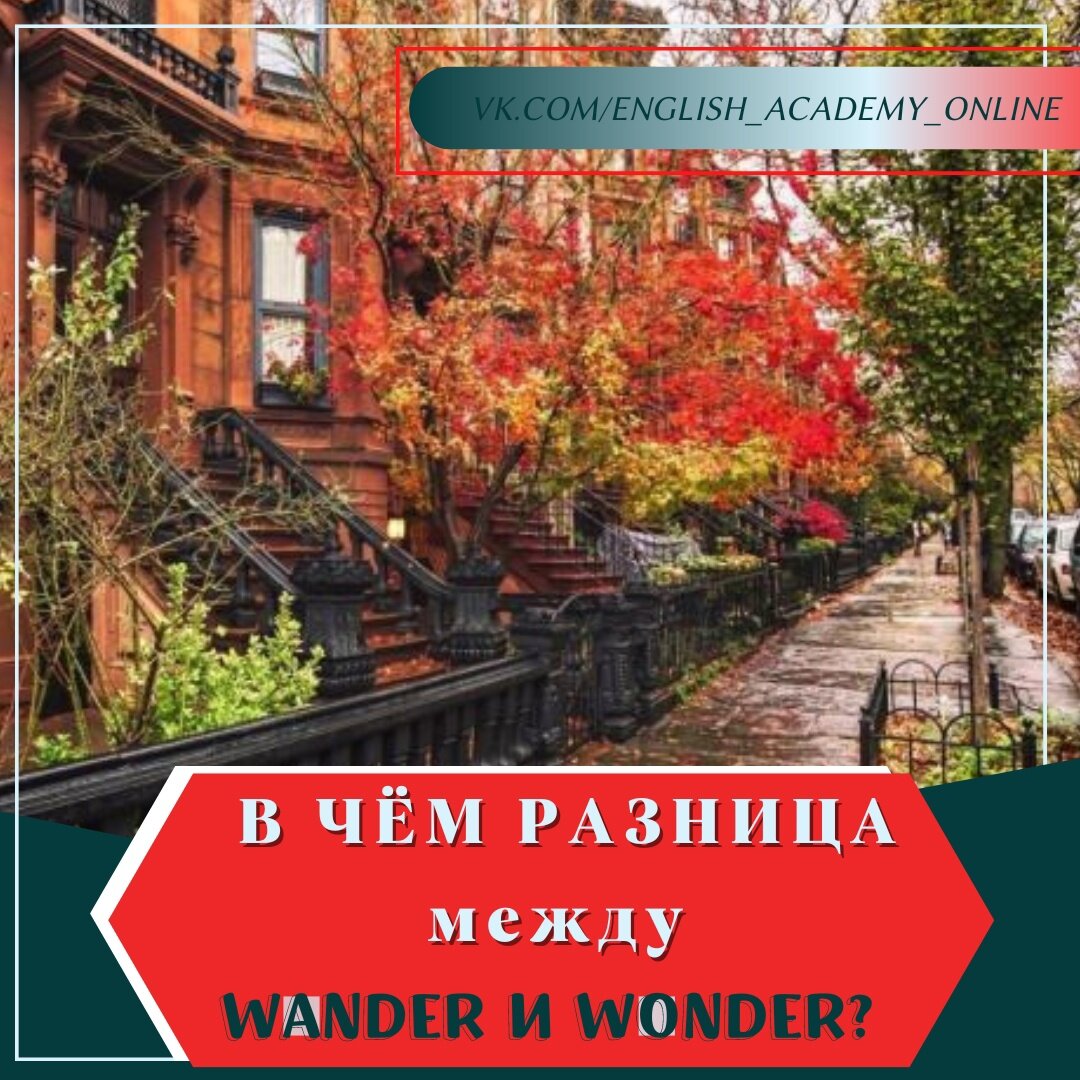 В ЧЁМ РАЗНИЦА WANDER И WONDER | Юлия Назарчук | Дзен
