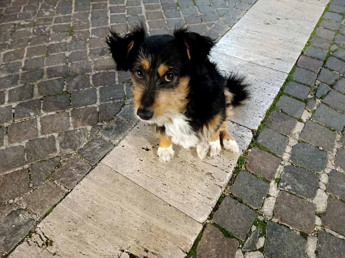 Местный житель. Его зовут Баришанино