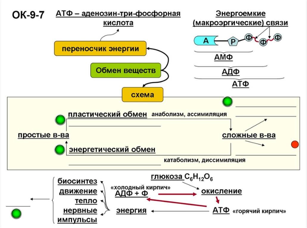 Опорный конспект к уроку - заготовка