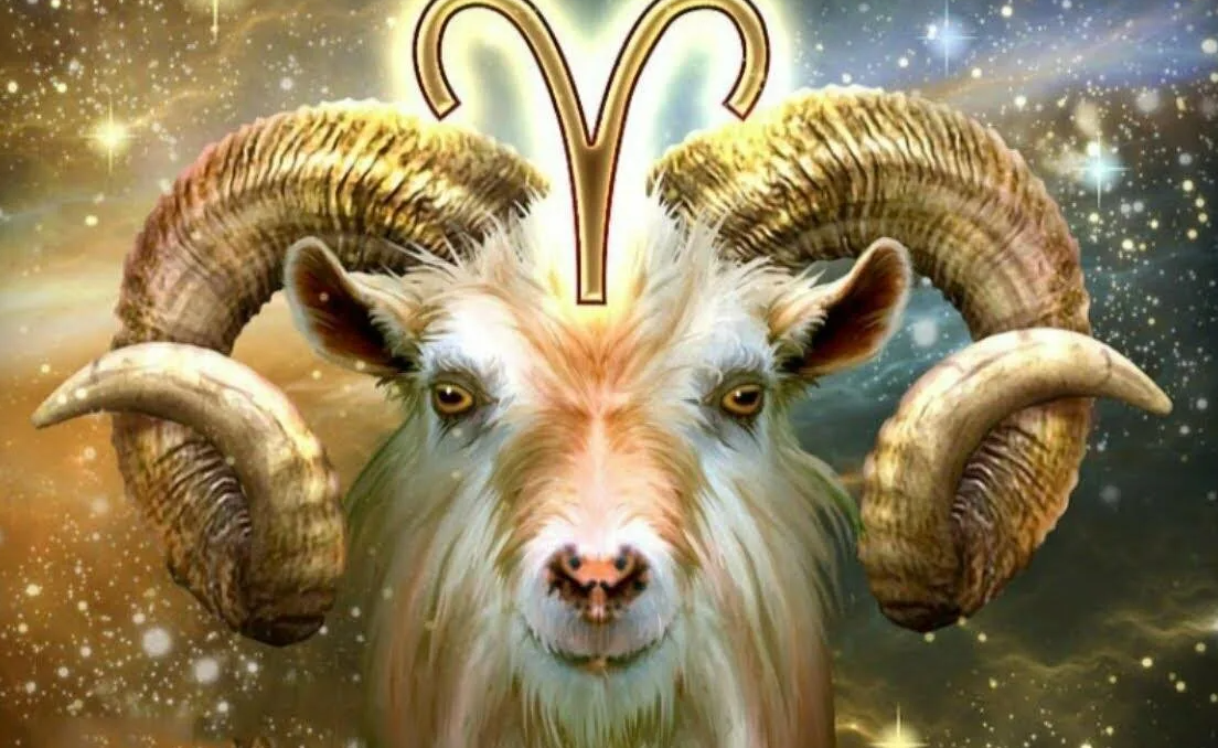 Яндекс картинки