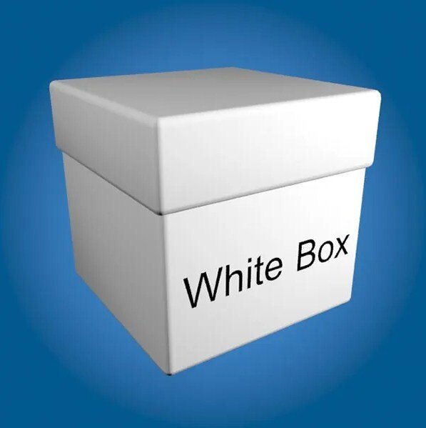 White Box Тестирование 2022