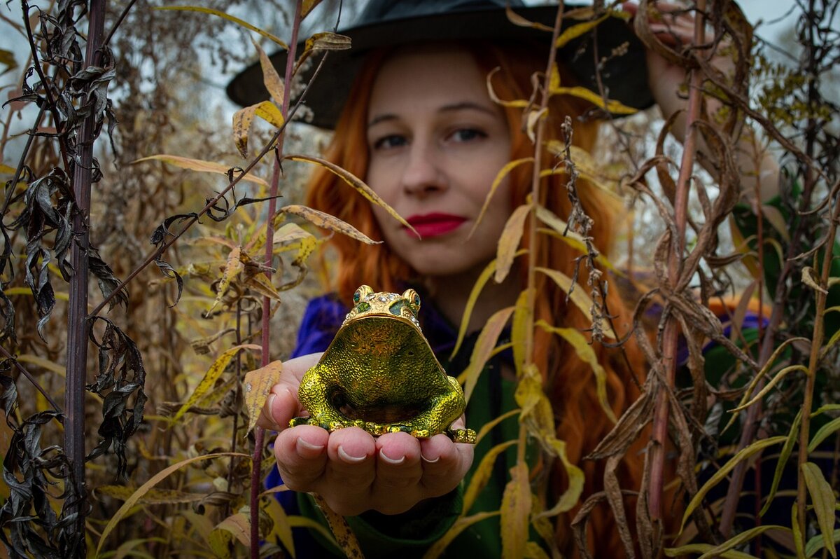 Бесплатное фото с pixabay 