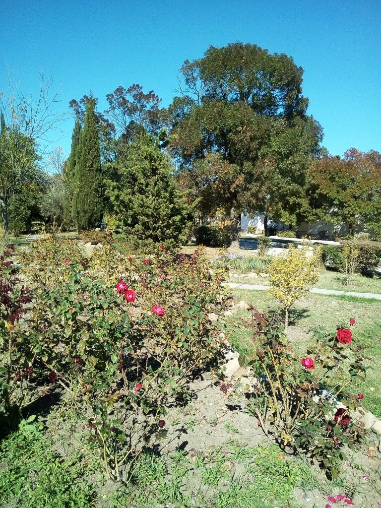 Сегодня в парке "Голубого залива". Фото автора канала.