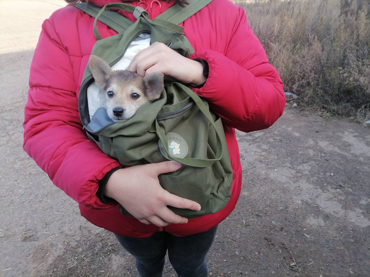 Уже домашняя