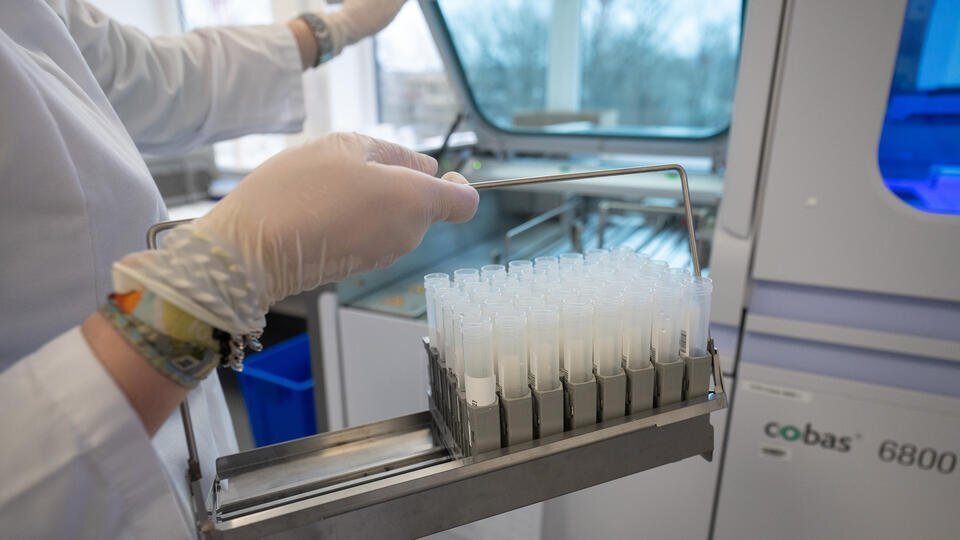    Global Look Press/Sebastian Gollnow