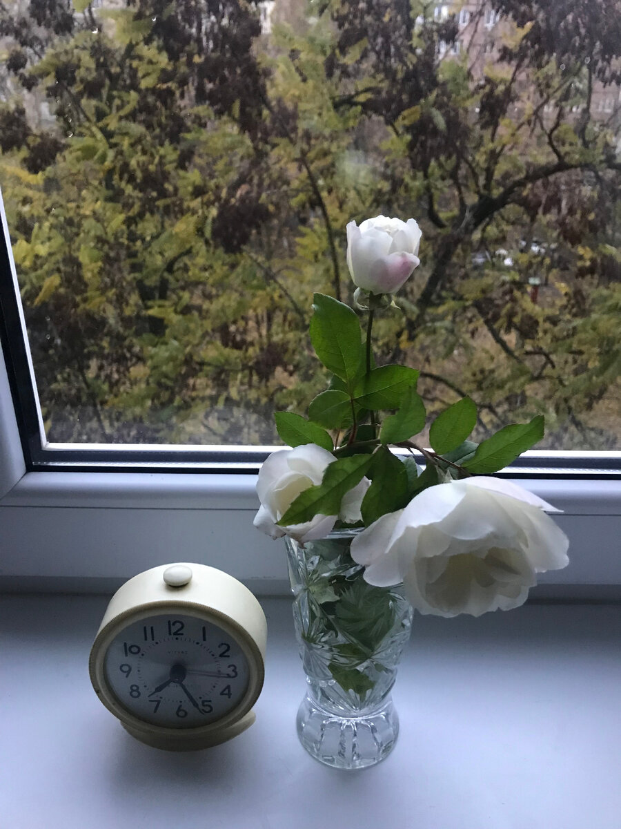 ВСЕ В РЕАЛЬНОМ ВРЕМЕНИ