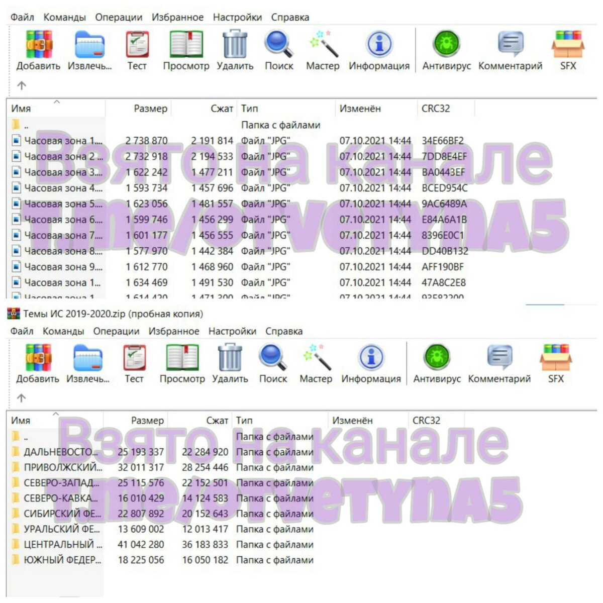 Сливы тем в прошлом году👆