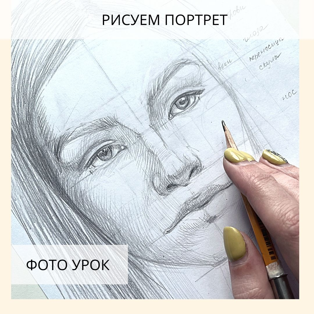 2 часть. Портрет карандашом поэтапно. Схема пропорций лица