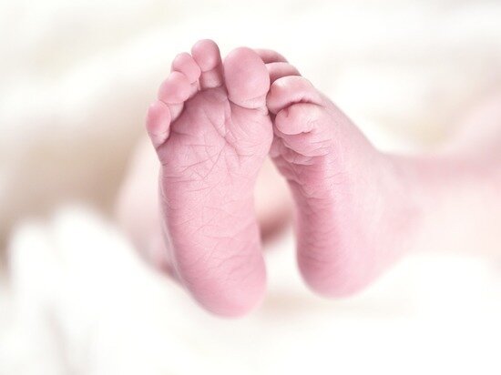     Фото: pxhere.com